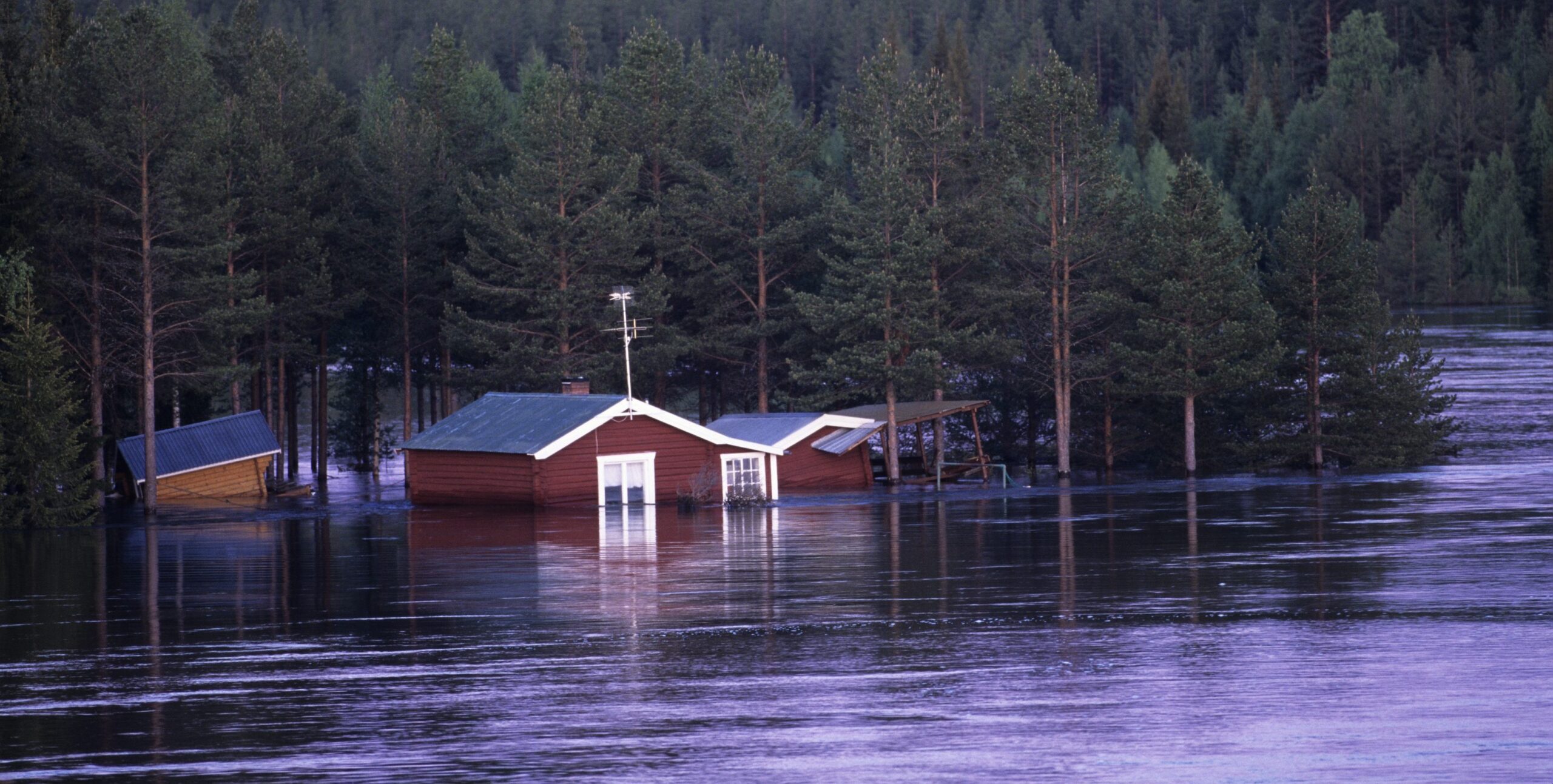 Nuttall Restoration – Flood, Fire, and Disaster Restoration since 1975